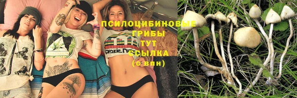 а пвп мука Баксан