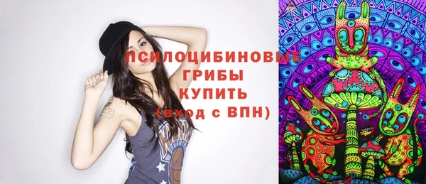 мдпв Балахна