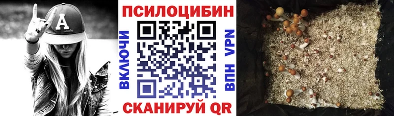 даркнет сайт  Горняк  Псилоцибиновые грибы GOLDEN TEACHER 